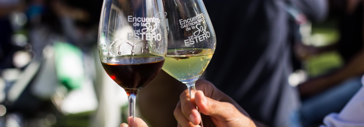 Jornadas Gastronómicas De La Sal y El Estero | Brindis