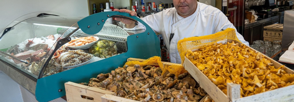 Jornadas Estero Y Sal | Avanico de Fran Oliva