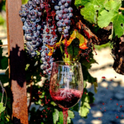 los-mejores-vinos-tintos